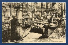 ⭐ Monaco - Carte Postale - Musée Océanographique - Océanographie Appliqué ⭐ - Oceanographic Museum