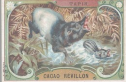 CHROMO CHOCOLAT CACAO SOLUBLE REVILLON  LE TAPIR - Revillon