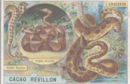 CHROMO CHOCOLAT CACAO SOLUBLE REVILLON  LES SERPENTS  L'ANACONDA - Revillon