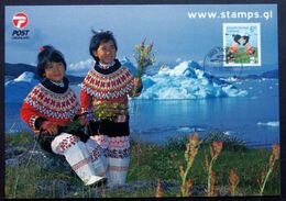 Greenland 2005  CARDS   MiNr.422  ( Lot   2110) - Covers & Documents