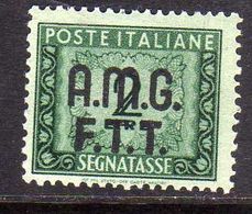TRIESTE A 1947 - 1949 AMG-FTT SOPRASTAMPATO OVERPRINTED SEGNATASSE TAXES TASSE POSTAGE DUE LIRE 2 MNH - Strafport