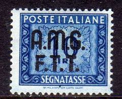 TRIESTE A 1947 - 1949 AMG-FTT OVERPRINTED SEGNATASSE POSTAGE DUE TASSE TAXE LIRE 10 MNH BEN CENTRATO - Strafport