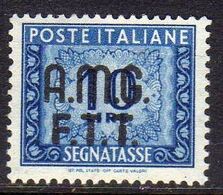 TRIESTE A 1947 - 1949 AMG-FTT OVERPRINTED SEGNATASSE POSTAGE DUE TASSE TAXE LIRE 10 MNH - Strafport