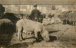 Vire * Le Marché Aux Cochons - Vire