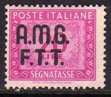 TRIESTE A 1947 - 1949 AMG-FTT OVERPRINTED SEGNATASSE POSTAGE DUE TASSE LIRE 20 MNH - Taxe