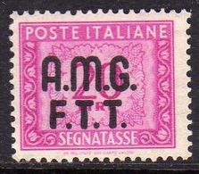TRIESTE A 1947 - 1949 AMG-FTT OVERPRINTED SEGNATASSE POSTAGE DUE TASSE LIRE 20 MNH - Segnatasse