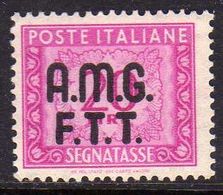 TRIESTE A 1947 - 1949 AMG-FTT OVERPRINTED SEGNATASSE POSTAGE DUE TASSE LIRE 20 MNH - Strafport