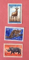 DEMOCRATIC REPUBLIC OF CONGO / BELGISH CONGO LOT OF NEWS MNH** STAMPS - Sammlungen