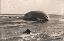 !  Alte Fotokarte, Wal, Flensburger Förde, Whale, Baleine, Photo, 1911, Ostsee - Fische Und Schaltiere