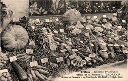 Orléans * Exposition D'horticulture * Stand De La Maison L.THOREAU * Graine De Semence - Orleans