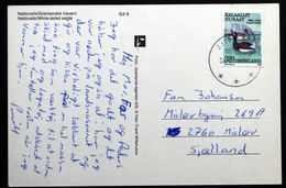 Greenland 1989  Cards Nattoralik/White-tailed Eagle  To  Denmark  From NUUK ( Lot 35 ) - Brieven En Documenten