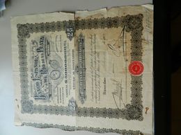 ACTION 100 PESOS  BANCO ESPANOL DEL RIO DE LA PLATA  (DOMICILIO SOCIAL BUENOS AIRES)1928 - Bank En Verzekering