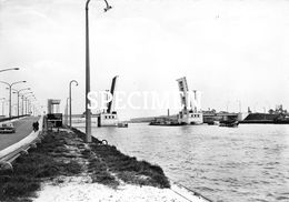 Brug Kanaal Gent-Terneuzen - Zelzate - Zelzate