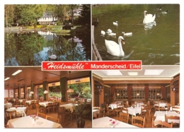 Manderscheid In Der Vulkaneifel - Café-Restaurant Hotel "Heidsmühle" - 4 Ansichten - Manderscheid