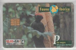SPAIN 2001 FAUNA IBERICA BIRD PITO NEGRO WOODPECKER - Sperlingsvögel & Singvögel