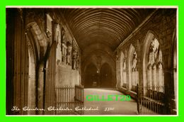 CHICHESTER, UK - THE CLOISTERS, CHICHESTER CATHEDRAL - J. SALMON LTD - - Chichester