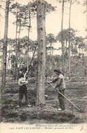 Landes Non Classés       40       Résiniers   Gommant Les  Pins    (voir Scan) - Other & Unclassified