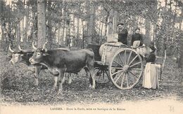 Landes Non Classés       40    Résinier . Attelage.Mise En Barrique De La Résine     (voir Scan) - Autres & Non Classés