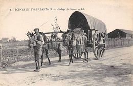 Landes Non Classés       40     Attelage De Mules       (voir Scan) - Autres & Non Classés