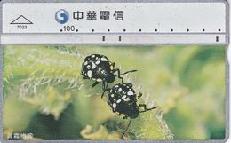 TARJETA DE TAIWAN DE UNOS INSECTOS  (INSECTO-INSECT) - Sonstige & Ohne Zuordnung