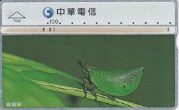 TARJETA DE TAIWAN DE UNOS INSECTOS  (INSECTO-INSECT) - Otros & Sin Clasificación