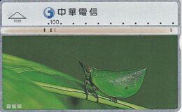 TARJETA DE TAIWAN DE UNOS INSECTOS  (INSECTO-INSECT) - Other & Unclassified