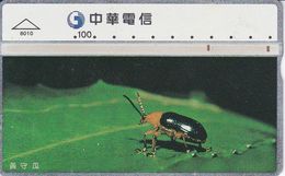 TARJETA DE TAIWAN DE UNOS INSECTOS  (INSECTO-INSECT) - Sonstige & Ohne Zuordnung