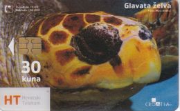 TARJETA DE CROACIA DE UNA TORTUGA (TURTLE)) - Peces