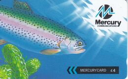 TARJETA DE REINO UNIDO DE UNA TRUCHA  (PEZ-FISH) MERCURY - Peces