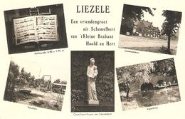 Liezele ( Puurs ) : Vriendengroet Uit Schemerbert ( Multivieuw) - Puurs