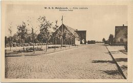 Melsbroek - W.R.D. Melsbroeck  *  Allée Centrale - Middenlaan - Steenokkerzeel