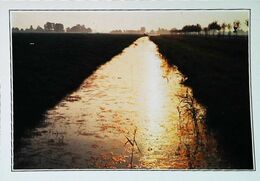 Pays Bas Flevoland   Polders  Années 80's - Other & Unclassified