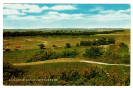 Ref 1390 - J. Salmon Postcard - Badbury Rings Near Wimborne Dorset - Autres & Non Classés