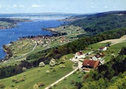 Klingenzell - Tg - Mit Blick Auf Mammern Und Untersee - Formato Grande Viaggiata – E 16 - Mammern