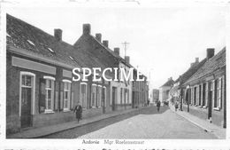 Mgr Roelensstraat - Ardooie - Ardooie