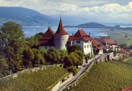 Schloss Erlach - Mit Petersinsel Chateau De Cerlier Et Lle De St.pierre - Formato Grande Viaggiata – E 16 - Cerlier