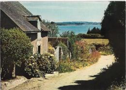 D56 - ILE D'ARZ - DESCENTE VERS LE GOLFE - LA BRETAGNE EN COULEURS - CPSM Colorisée Grand Format - Ile D'Arz