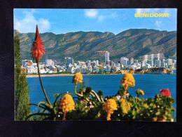 Spain, Circulated Stamped Postcard, BENIDORM, 1982 - Alicante