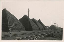 Real Photo Fort Lamy 1949. Gare . Pyramide De Cereales . Dos Non Carte Postale - Tchad