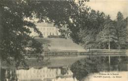 CHATEAU DE LA SOURCE OLIVET LE MIROIR - Sonstige & Ohne Zuordnung