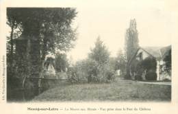 MEUNG SUR LOIRE LA MAUVE AUX MARAIS VUE PRISE DANS LE PARC DU CHATEAU - Autres & Non Classés