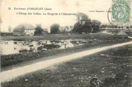 ENVIRONS D'ORGELET L'ETANG DES COLLES LA BERGERIE A L'ABREUVOIR - Autres & Non Classés