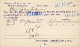 USA Postal Stationery Ganzsache PRIVATE Print HAMBURG-AMERICAN Line S.S. Patricia 1905 KRISTIANIA (Arr.) Norway - Brieven En Documenten