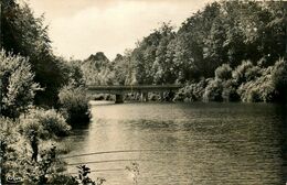 St Hilaire Du Harcouet * Le Pont De Surlair * La Vallée De La Seilune * Pêche à La Ligne Pêcheur - Saint Hilaire Du Harcouet