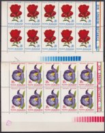 F-EX18334 ROMANIA RUMANIA 1971 MNH FLOWER ORQUIDEAS ORCHILD, BLOCK 10. - Agriculture