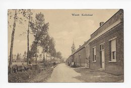 Weert   Kerkstraat - Bornem