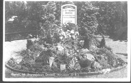 Nederland Holland Pays Bas Rhenen Z/w Monument Met Veel Bloemen - Rhenen