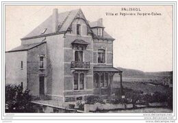 -30% .   PALISEUL ..-- GARE . Villa Et Pépinières  PERPETE - COLAS . 1919 .  Voir Verso . - Paliseul