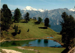 Beim Ofenpass - Lai Da Juata Auf Alp Da Munt Ob Tschierv Mit Ortler (31-246) * 17. 6. 1982 - Tschierv