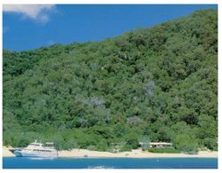 (F 20) Australia - QLD - Fitzroy Island - Great Barrier Reef